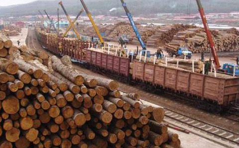main logging