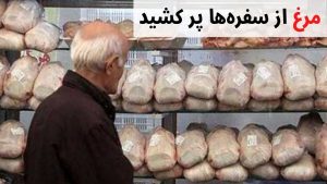 قیمت مرغ در استان