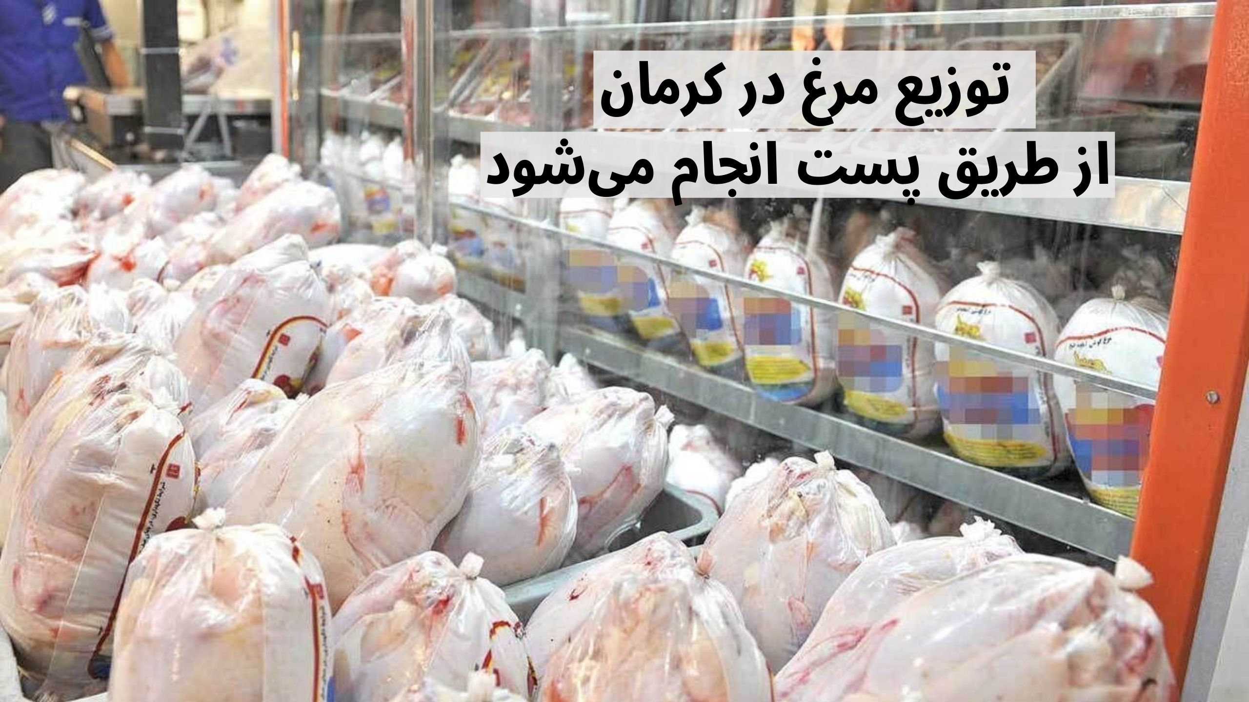 توزیع مرغ در کرمان