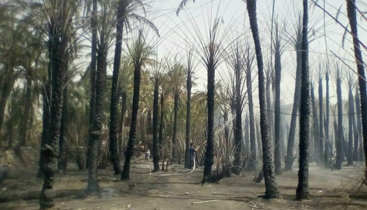 آتش‌سوزی در جنوب کرمان