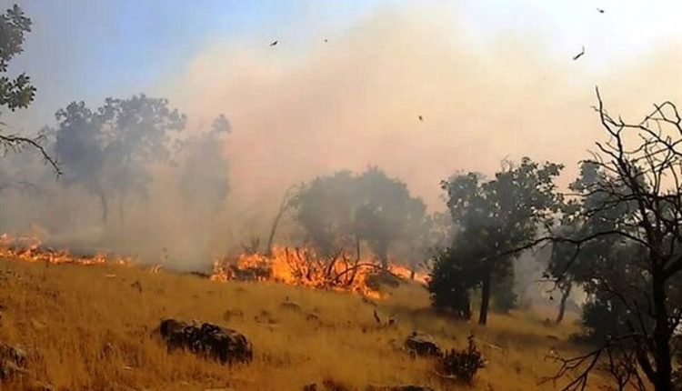آتش سوزی در مراتع استان