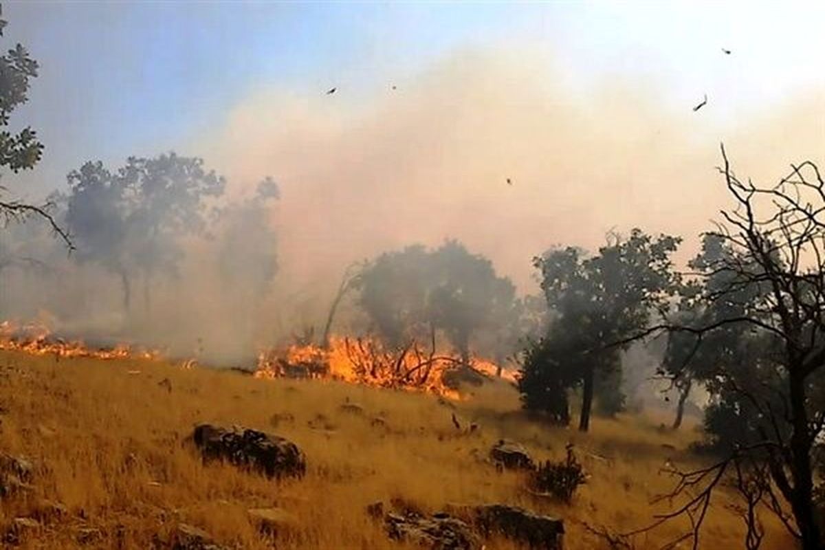 آتش سوزی در مراتع استان